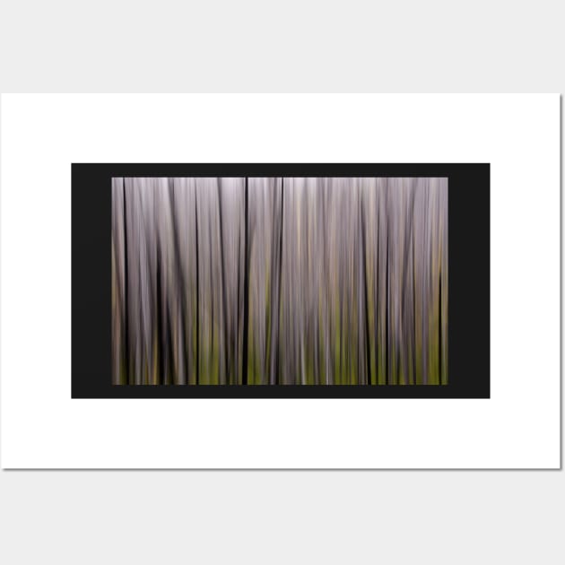 Forest Illusions- Lodgepole Wall Art by Whisperingpeaks